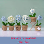 Kit de ganchillo para tejer rosas, ramo de flores hecho a mano, bricolaje, bolsa de material de ganchillo de lana, regalo creativo para parejas y novias, principiantes