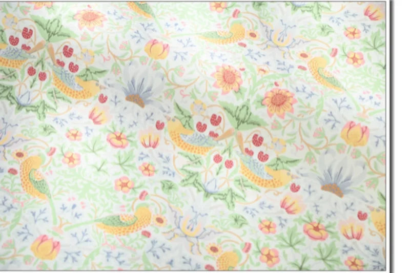 Fresh Floral Print 100% Cotton Canvas Fabric | 110cm Wide | Sold by the Half Yard